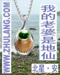 闻香探案录