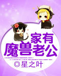 免费369看片入口
