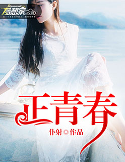 岁月小说