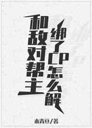 完美搭档韩语在线观看