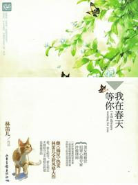 男女的同房过程视频