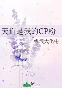 3邦第一视频在线观看