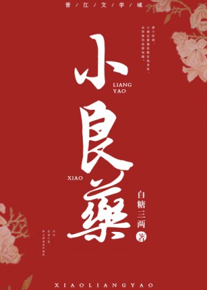 功夫圣医