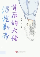 神秘总裁的心尖宠