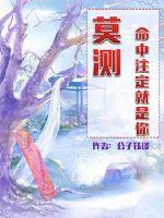 斗破苍穹h版