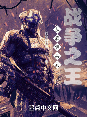 新编三宝局长全部目录