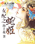 荣华富贵小王莉莉小说免费阅读无弹窗