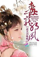 美美的电影在线观看