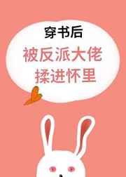 禁欲律师高h