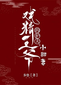 你是我的荣耀 小说