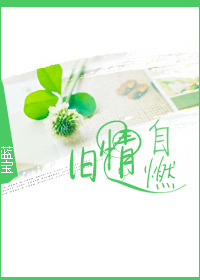 枉然的意思