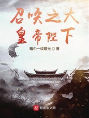 盗情小说txt百度网盘