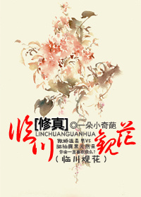对着摄像头自己玩