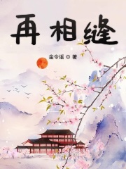 红蜘蛛第二部