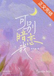 生活大爆炸第十二季下载