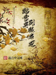 卿卿日常分集剧情介绍