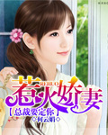 寡妇网