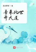 美国禁忌6