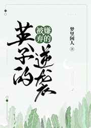 西门子燃气灶
