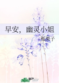 小说言情甜宠文