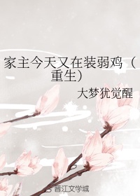 风流老板俏秘书小说