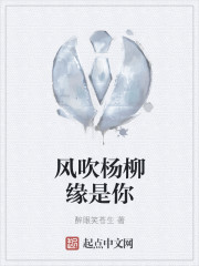 康熙微服私访记第一部