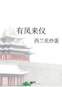海贼王白星本子