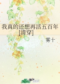 嘿嘿嘿连载