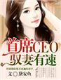 水浒传之英雄本色金莲