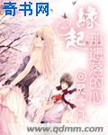 二次元触手