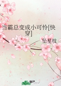 能播放的kaday kross