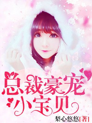 布衣天下大结局