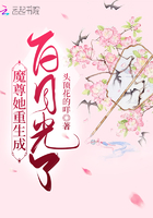 久久视频在线视频