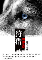 明月心小说百度云