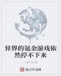 美国派5