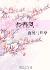 秘密战队