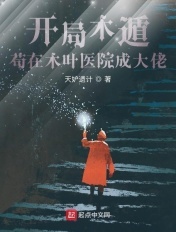 南安太妃传小说