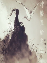 天然呆杀手之再续归来