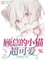 穿进男团选秀后