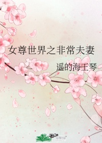 提灯看刺刀txt