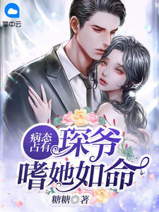 新版金银瓶1-5集