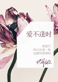 茄子视频官网