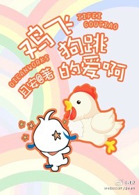chinese高中生飞机视频