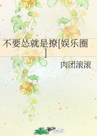 深圳卫视频道在线直播