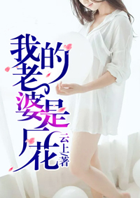 魔法小厨娘多少钱