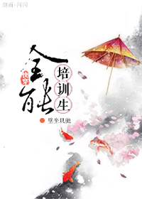 爱拼会赢多少集