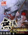 精灵宝可梦h
