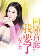 艳贼1080p