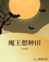布衣天子电视剧免费观看