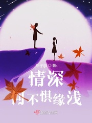 2828免费电影